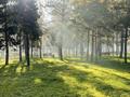 2-бөлмелі пәтер · 46.2 м² · 5/12 қабат, Рыскулова — ЖК Green Park (Qazaq Stroy), Рыскулова - Жансугурова (Белинского), бағасы: 22.9 млн ₸ в Алматы, Жетысуский р-н — фото 6