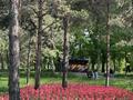 2-бөлмелі пәтер · 46.2 м² · 5/12 қабат, Рыскулова — ЖК Green Park (Qazaq Stroy), Рыскулова - Жансугурова (Белинского), бағасы: 22.9 млн ₸ в Алматы, Жетысуский р-н — фото 7