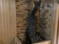 Жеке үй · 7 бөлме · 378 м² · 10 сот., Коныролен 2 — Мугалжар/Коныролен, бағасы: 350 млн ₸ в Астане, Есильский р-н — фото 24