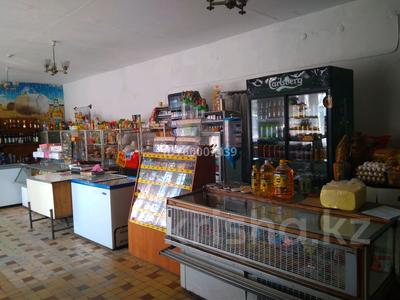 Магазины и бутики · 159 м² за 6 млн ₸ в Алтае