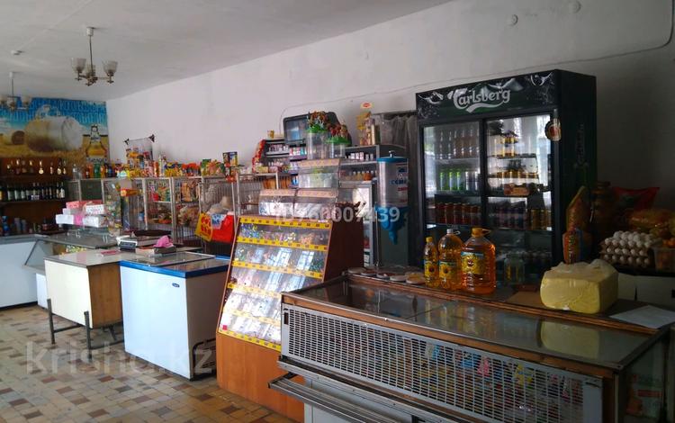 Магазины и бутики · 159 м² за 6 млн ₸ в Алтае — фото 2