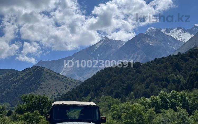 Участок · 3 га, Каскасу за 150 млн 〒 — фото 2