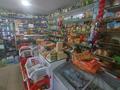Магазины и бутики • 42 м² за 24.5 млн 〒 в Алматы, Турксибский р-н — фото 3
