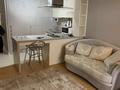 1-комнатная квартира · 43 м² · 13/27 этаж, Кошкарбаева 10/1 за 300 000 ₸ в Астане, Сарайшык р-н — фото 6