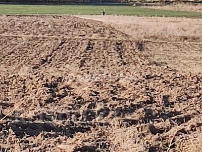 Жер телімі · 1.35 га, Касымбек датка, бағасы: 18 млн 〒