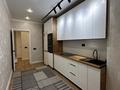 1-комнатная квартира · 50 м² · 9/12 этаж, мкр Кайтпас 1, Байдибек би 116 — ул Байтерекова за 200 000 ₸ в Шымкенте, Каратауский р-н — фото 10