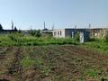 Жеке үй · 3 бөлме · 96 м² · 10 сот., Алдабергенова 7, бағасы: 17.7 млн ₸ в Усть-Каменогорске — фото 14