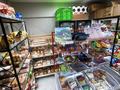 Продуктовый магазин/готовый бизнес · 60 м², бағасы: 19 млн ₸ в Алматы, Бостандыкский р-н — фото 14