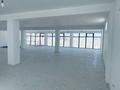 Свободное назначение · 250 м² за 500 000 ₸ в Шымкенте, Абайский р-н — фото 12