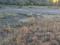 Жер телімі · 50 сотық, Көктал ш/а — ВОЗЛЕ ТРАССЫ, бағасы: 40 млн ₸ в Талдыкоргане, мкр Коктал