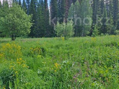 Участок · 25 соток, Село Лесное, ул Сосновая за 11 млн 〒 в Риддере