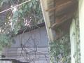 Отдельный дом · 3 комнаты · 82 м² · 7 сот., проспект Сейфуллина 52 — Ровенского за 42.5 млн ₸ в Алматы, Турксибский р-н — фото 46