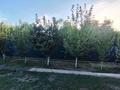Отдельный дом · 3 комнаты · 82 м² · 7 сот., проспект Сейфуллина 52 — Ровенского за 42.5 млн ₸ в Алматы, Турксибский р-н — фото 51
