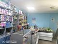 Магазины и бутики • 250 м² за 80 млн 〒 в Павлодаре — фото 5
