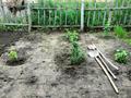 Отдельный дом · 3 комнаты · 95 м² · 12 сот., ул. Кыран 11 за 15 млн ₸ в Усть-Каменогорске, Ново-Явленка — фото 7