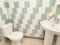 Отдельный дом · 4 комнаты · 251 м² · 11 сот., Тенистая 3 за 75 млн ₸ в Петропавловске — фото 43