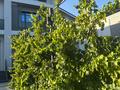 Жеке үй · 7 бөлме · 367.5 м² · 10 сот., Тулпар 198 — Городок Тулпар, бағасы: 270 млн ₸ в Шымкенте, Абайский р-н — фото 24