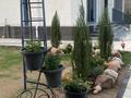 Жеке үй · 7 бөлме · 367.5 м² · 10 сот., Тулпар 198 — Городок Тулпар, бағасы: 270 млн ₸ в Шымкенте, Абайский р-н — фото 4