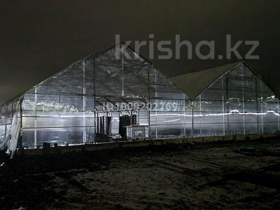 Продаем прибыльный тепличный комлекс · 1000 м² за 160 млн ₸ в Щапово