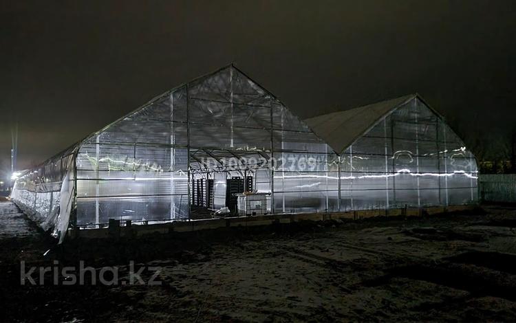 Продаем прибыльный тепличный комлекс · 1000 м² за 160 млн ₸ в Щапово — фото 4