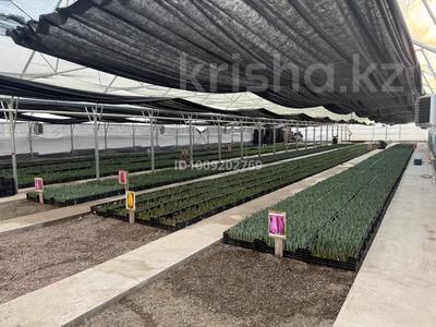Продаем прибыльный тепличный комлекс · 1000 м², бағасы: 160 млн 〒 в Щапово