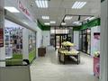Еркін · 209.1 м², бағасы: 253 млн ₸ в Алматы, Бостандыкский р-н — фото 7