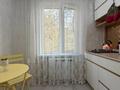 1-бөлмелі пәтер · 31 м² · 4/5 қабат, Пушкина, бағасы: 31.5 млн ₸ в Алматы, Медеуский р-н — фото 14