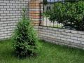 Отдельный дом · 4 комнаты · 77.6 м² · 5 сот., Громова 51 — Мичурина Московская за 18 млн ₸ в Семее — фото 3