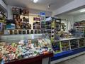 Свободное назначение, магазины и бутики · 52 м² за 24 млн ₸ в Экибастузе — фото 2