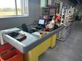 Магазины и бутики · 250 м² за ~ 1.6 млн ₸ в Кокшетау