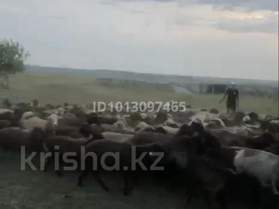 Участок · 56000 га, Охот.угодье 56 за 500 млн ₸ в Алтынсарино (Камыстинский район)