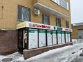 Еркін, дүкендер мен бутиктер · 112 м², бағасы: 55 млн ₸ в Астане, Сарыарка р-н