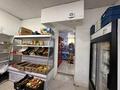 Еркін, дүкендер мен бутиктер · 112 м², бағасы: 55 млн ₸ в Астане, Сарыарка р-н — фото 5