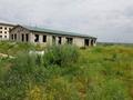 Жер телімі · 30 сотық, Талапкер, бағасы: 32 млн ₸ — фото 2
