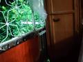 3-бөлмелі пәтер · 62.7 м² · 3/5 қабат, Рыскулова мкр.Жайлау 4 — Микр.-он Жайлау.Напротив поликлиники № 2 (7-и этажной), бағасы: 23 млн ₸ в Таразе — фото 13