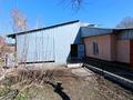 Отдельный дом · 4 комнаты · 80 м² · 7 сот., Тыныбаева — Островского школа №8 за 25 млн ₸ в Талдыкоргане — фото 35