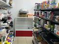 Свободное назначение, магазины и бутики · 200 м² за 175 млн ₸ в Астане, Нура р-н — фото 13