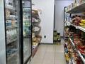 Свободное назначение, магазины и бутики · 200 м² за 175 млн ₸ в Астане, Нура р-н — фото 9