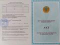Жер телімі · 10 сотық, Дача, бағасы: 250 000 ₸ в 