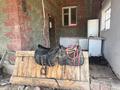 Участок · 24 сотки, Торпедная за 41 млн ₸ в Кыргауылдах — фото 11