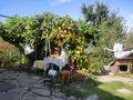 Участок · 7.3 сотки, Саратовская 56 — Апорт за 70 млн ₸ в Алматы, Медеуский р-н — фото 7