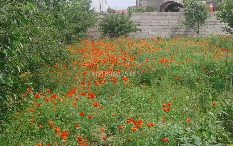 Жер телімі · 8 сотық, мкр Достык 566, бағасы: 25 млн ₸ в Шымкенте, Абайский р-н — фото 2