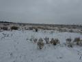 Участок · 12 соток, Алмалы за 3 млн ₸ — фото 3