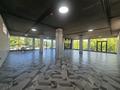Свободное назначение, офисы, магазины и бутики, медцентры и аптеки · 920 м² за 4.6 млн ₸ в Шымкенте, Абайский р-н — фото 10