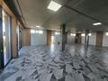 Свободное назначение, офисы, магазины и бутики, медцентры и аптеки · 920 м² за 4.6 млн ₸ в Шымкенте, Абайский р-н — фото 34