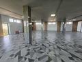 Свободное назначение, офисы, магазины и бутики, медцентры и аптеки · 920 м² за 4.6 млн ₸ в Шымкенте, Абайский р-н — фото 37