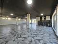 Свободное назначение, офисы, магазины и бутики, медцентры и аптеки · 920 м² за 4.6 млн ₸ в Шымкенте, Абайский р-н — фото 7