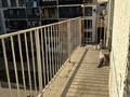2-бөлмелі пәтер · 42 м² · 4/6 қабат, Шұғыла ш/а., Alma City 4/1, улица Жунисова, 2/13 к17 2, бағасы: 230 000 ₸ в Алматы, Наурызбайский р-н — фото 8
