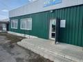 Еркін · 144 м², бағасы: 16 млн ₸ в Сергеевке