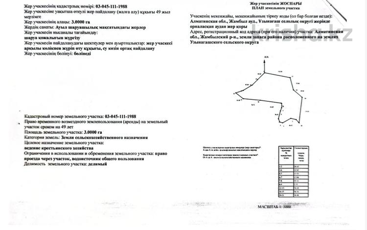 Жер телімі · 3 га, Байконыр 1, бағасы: 40 млн ₸ в Узынагаш — фото 2